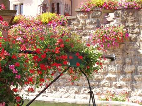 Eguisheim, sa fontaine alsacienne fleurie